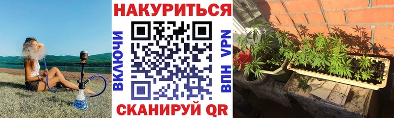 дарнет шоп  Коммунар  Конопля White Widow 